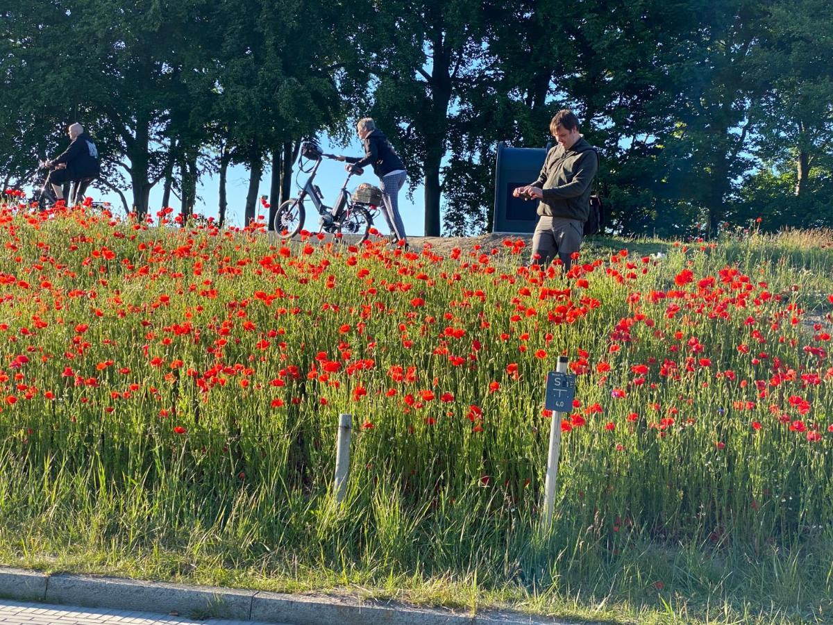 Fewo Tini Am Strandzugang Mit Wlan Inklusive, Keine Haustiere Zingst Exterior foto